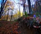 Drumul spre peștera din Valea Rea Foto Daniel Guță (36) jpg