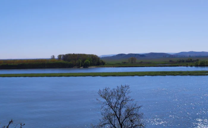 Insula din mijlocul Dunării a înverzit FOTO: C. Mazilu