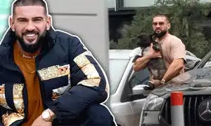 cub dorian popa animat gif