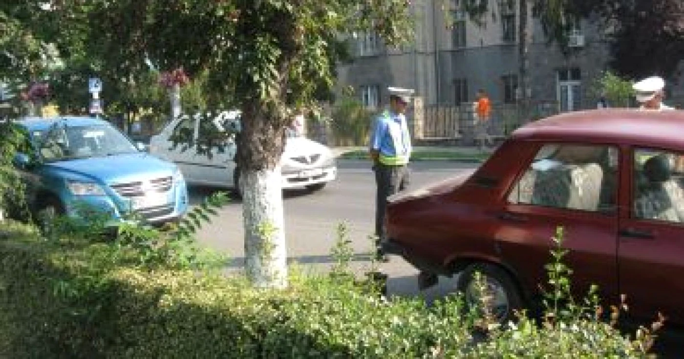 Hunedoara: Poliţia comunitară din Deva: pentru unii mumă pentru alţii ciumă (Galerie foto)