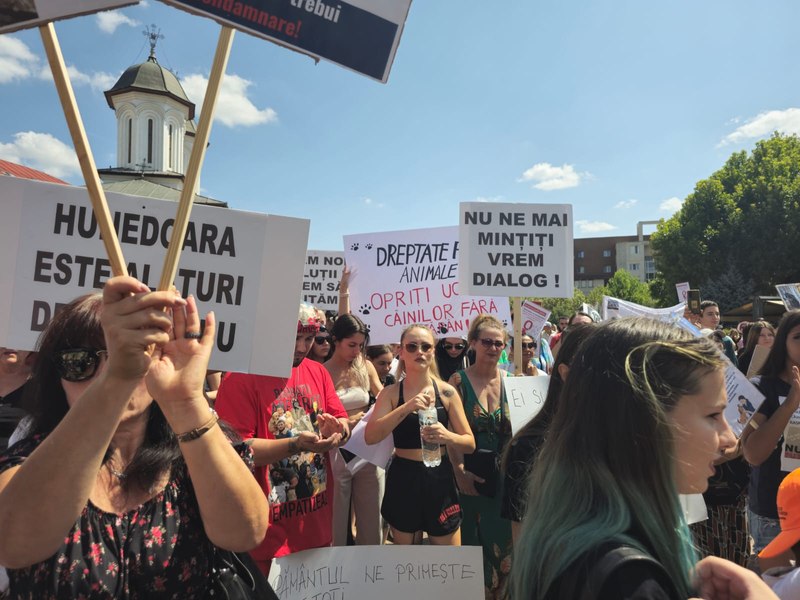 Protest în Târgu-Jiu, după uciderea a 60 de câini din adăpostul local: „Ne confruntăm cu autorități incompetente” VIDEO