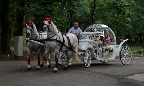 271985 202817663104152 1898843 o jpeg