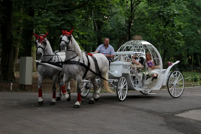 271985 202817663104152 1898843 o jpeg