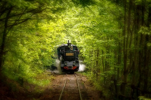 Mocănița Sovata din Mureș Foto Hamos Gyozo Facebook