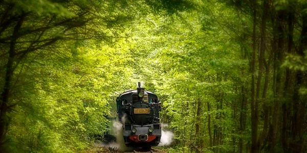 Mocănița Sovata din Mureș Foto Hamos Gyozo Facebook