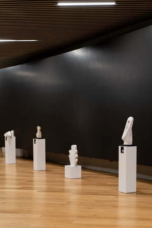 Romanian Art and the French Connection