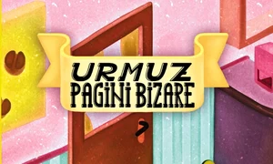 "Negustorul de începuturi de roman", Tîrgul de Sf Andrei, "Sonoro Conac" jpeg