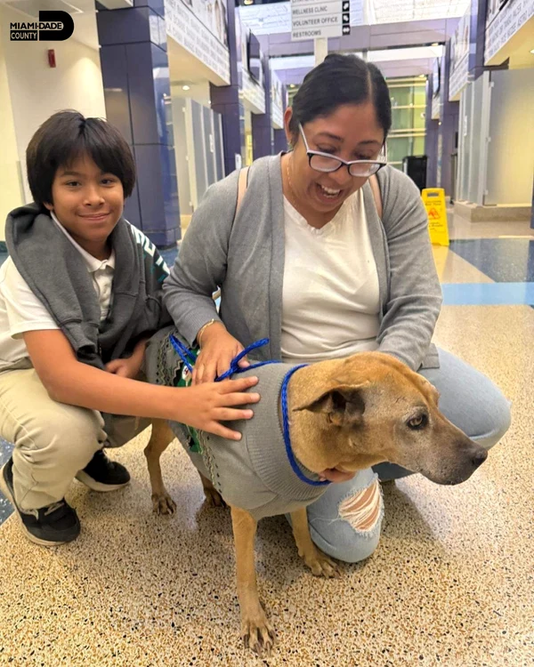 SURSĂ FOTO: INSTAGRAM