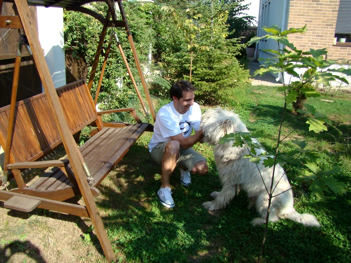 
    Dan Negru şi ciobănescul lui  