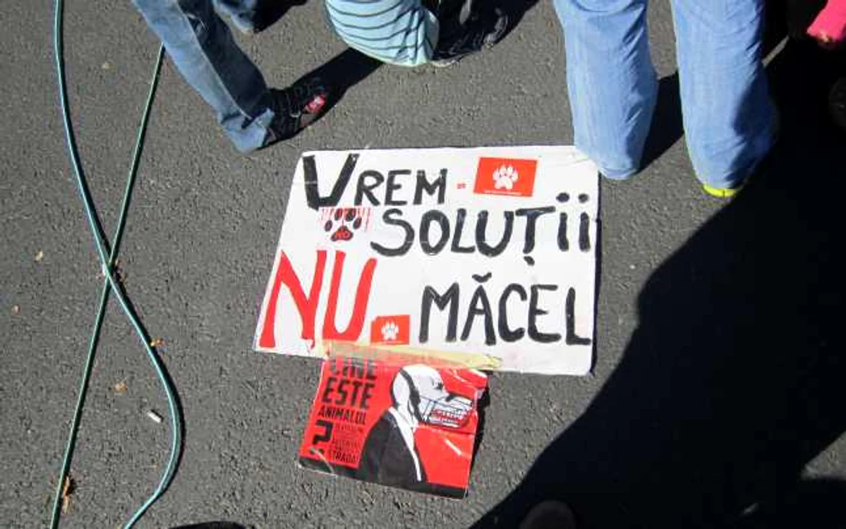 Iubitorii de animale protestează în Piaţa Universităţii FOTO Arhiva Adevărul