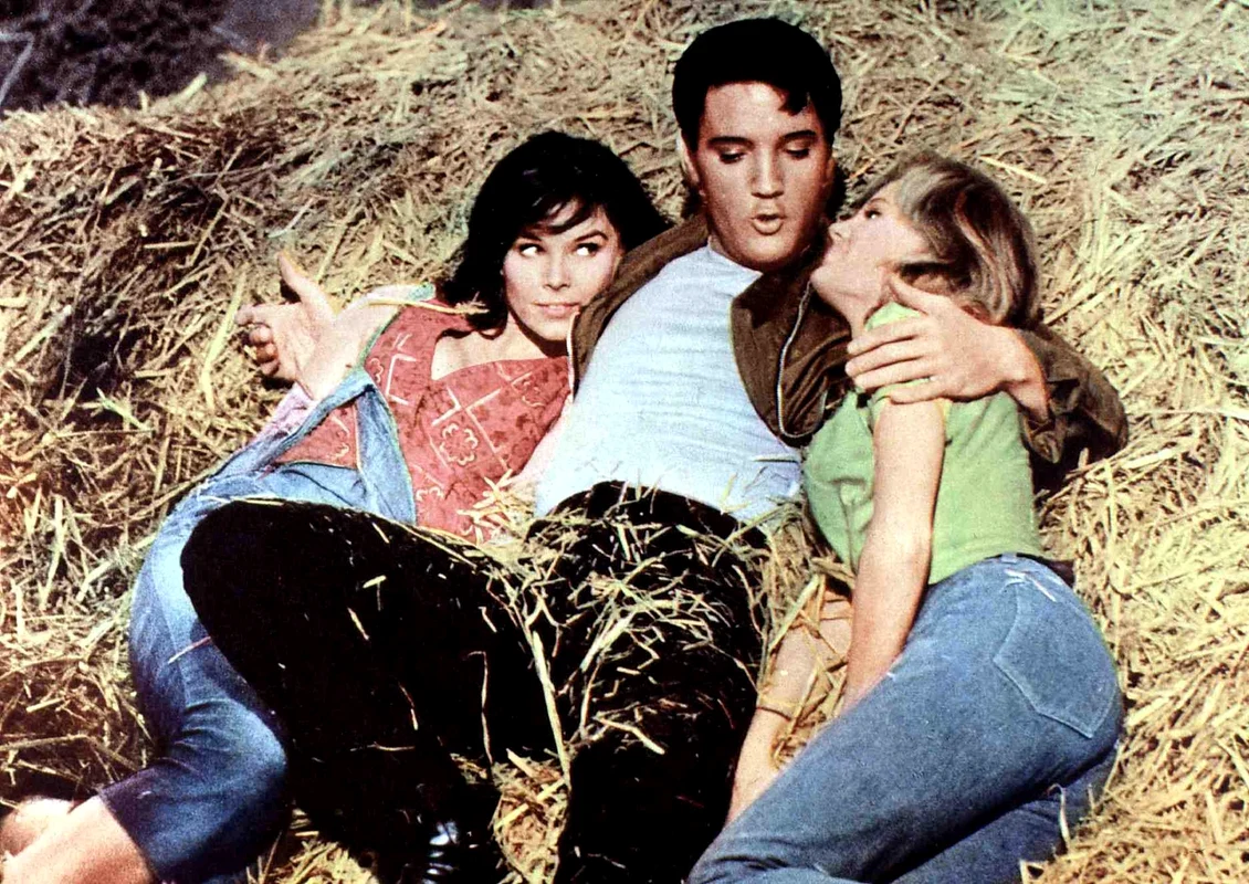 5 elvis11 jpg jpeg