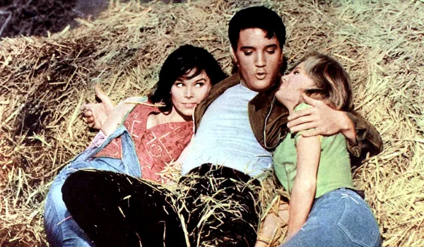 5 elvis11 jpg jpeg