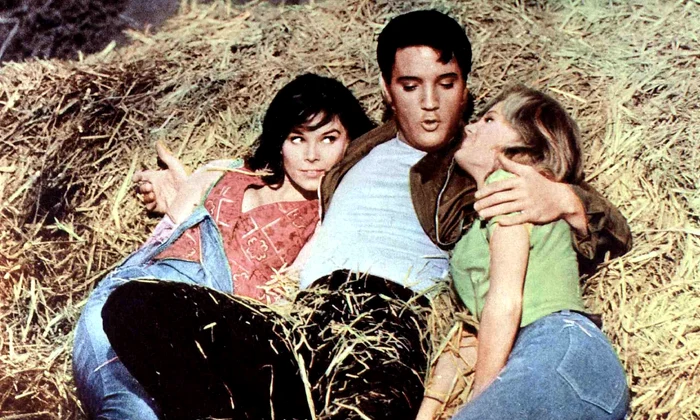 5 elvis11 jpg jpeg