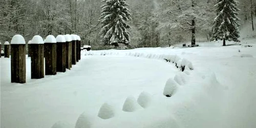 sarmizegetusa regia foto administratia sarmizegetusa regia