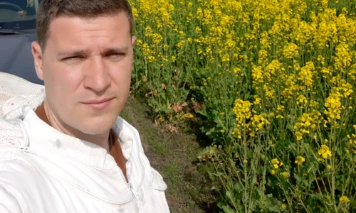 Dacă te a înțepat o albină aplică pe zona afectată o felie de lămâie şi las o să acţioneze jumătate de oră jpeg