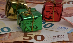 Ajutor financiar, foto Shutterstock jpg