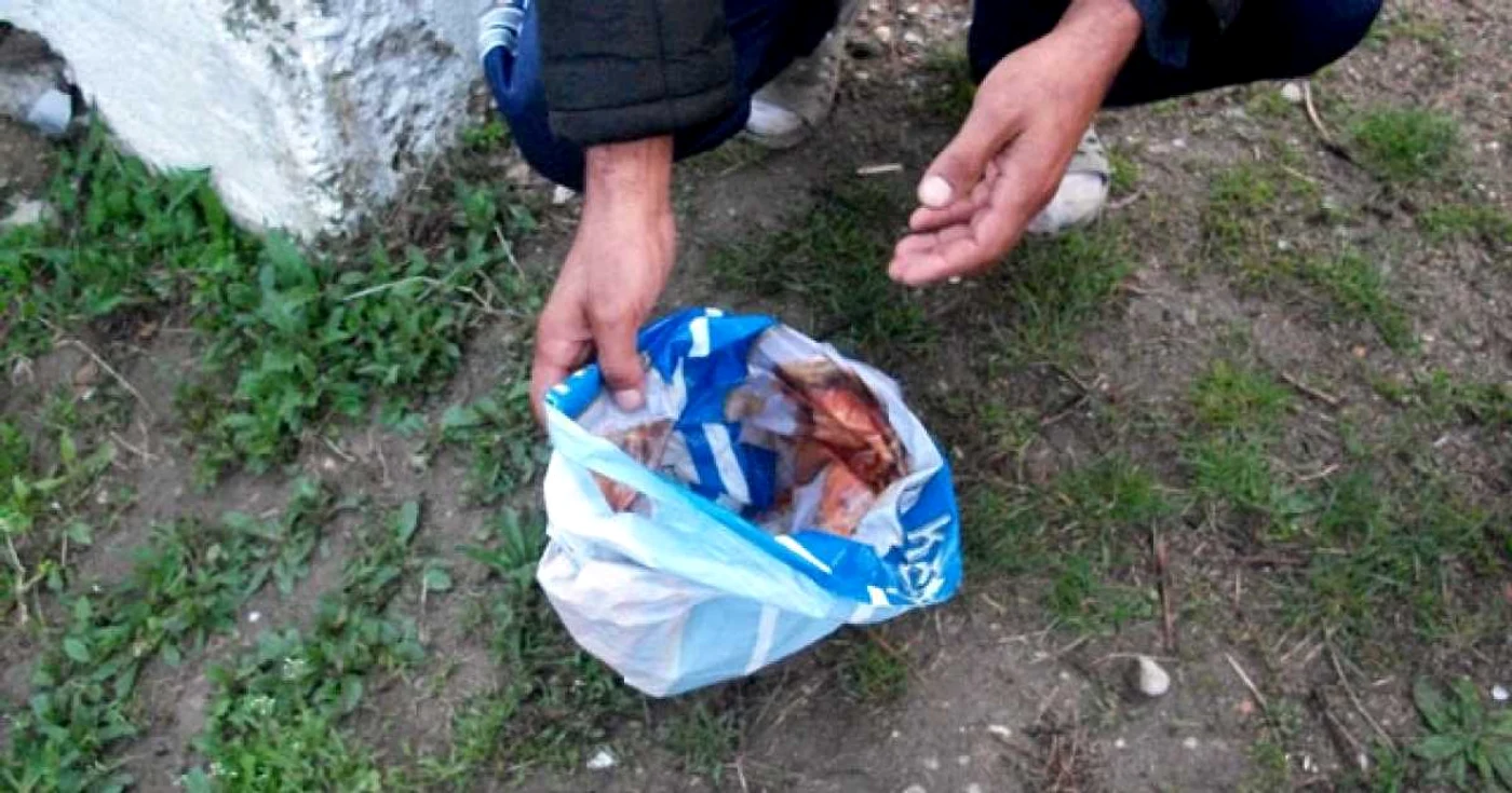 Avortonul a fost găsit într-o pungă
