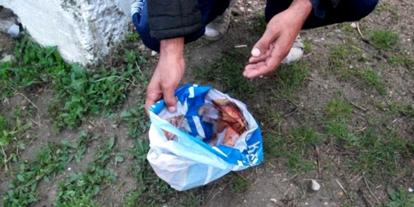 Avortonul a fost găsit într-o pungă