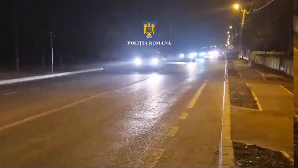 Un bărbat din Dolj a furat 20.000 puieți de salcâm dintr-o pepinieră, într-o singură noapte