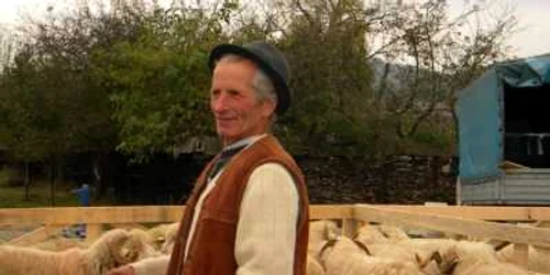 Bistrita:Subvarietatea Bălă de Bistriţa va primi certificat de omologare în cel mult o saptămână, după mai bine de 25 de ani de muncă