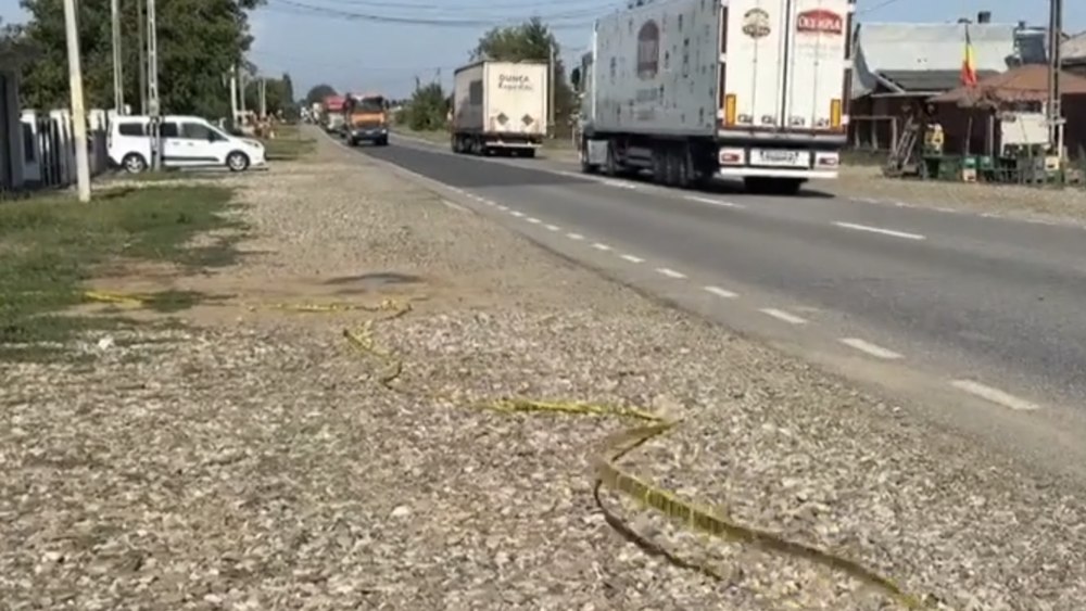 Tragedie în Neamț! O tânără de 22 de ani, studentă la Drept, ucisă de fostul iubit. Atacul a fost surprins de o cameră de supraveghere