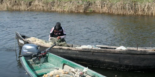 Interdicţie la pescuit cu năvodul (arhivă)