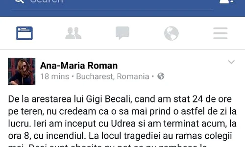 declaratie ana maria roman jpeg