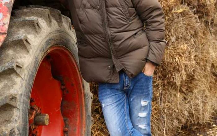 ferma vedetelor