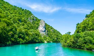 (resized) shutterstock 1115091434 jpg