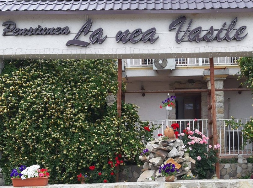 Pensiunea din Vaslui cu încasări record: peste 330.000 de euro într-o lună. De unde „veneau cu autocarele” turiștii
