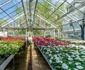Copper Beech Farm1 jpg