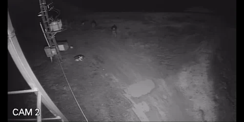 5aabda18df52022f75a5f6b3 jpg