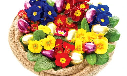 1 51395 original jpg jpeg