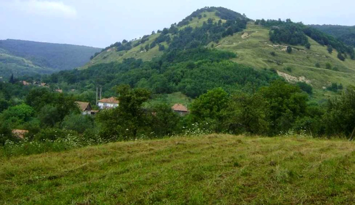 cetate glogovat alba