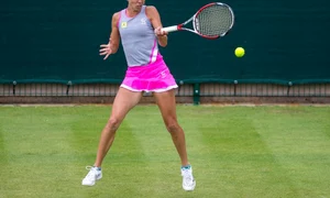 mihaela buzarnescu iarba birmingham jpeg