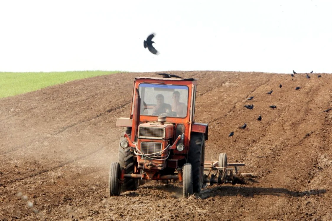 Un proiect european privind instalarea tinerilor fermieri le-a adus dosar penal unor consilieri din Iaşi