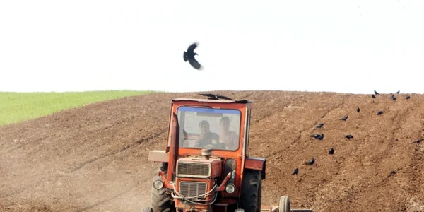 agricultura