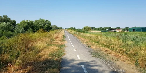 Cum arată pista de biciclete Timişoara-Zrenjanin pe partea sârbească FOTO Bartha Csaba