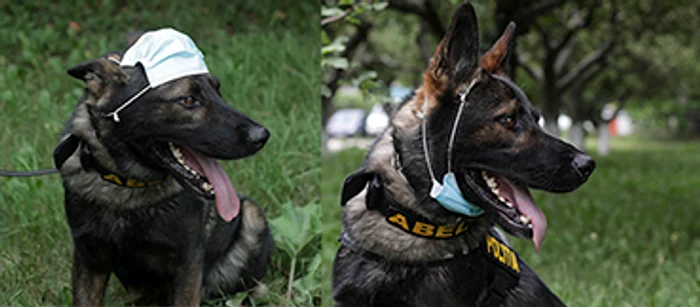 Masca nu se poartă nici pe cap, nici la gât