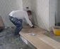 primar constructor rastoaca