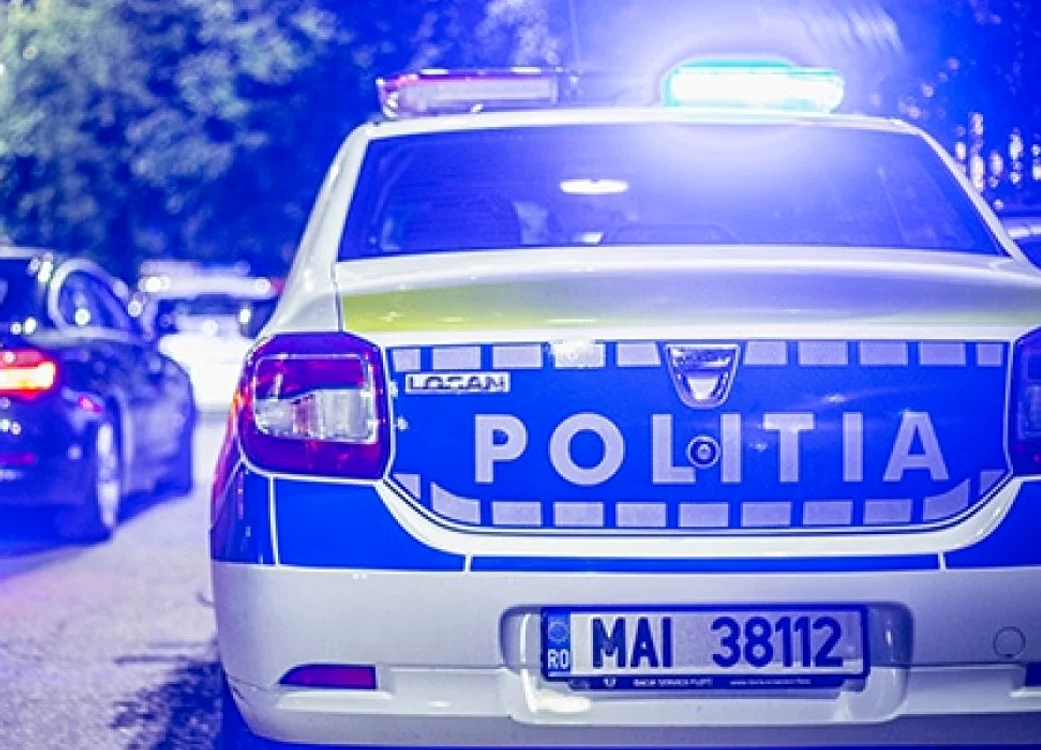 Polițiștii l-au găsit pe șoferul fugar FOTO: Shuterstock