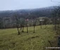 Satul Stănija din Hunedoara Foto Daniel Guță (43) jpg
