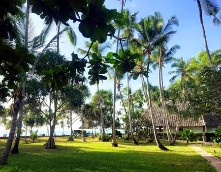 Catalin Botezatu Tanzania Zanzibar (5) jpeg