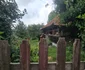 Drumul Cerbăl Feregi din Poiana Răchițelii Foto Daniel Guță ADEVĂRUL (37) jpg