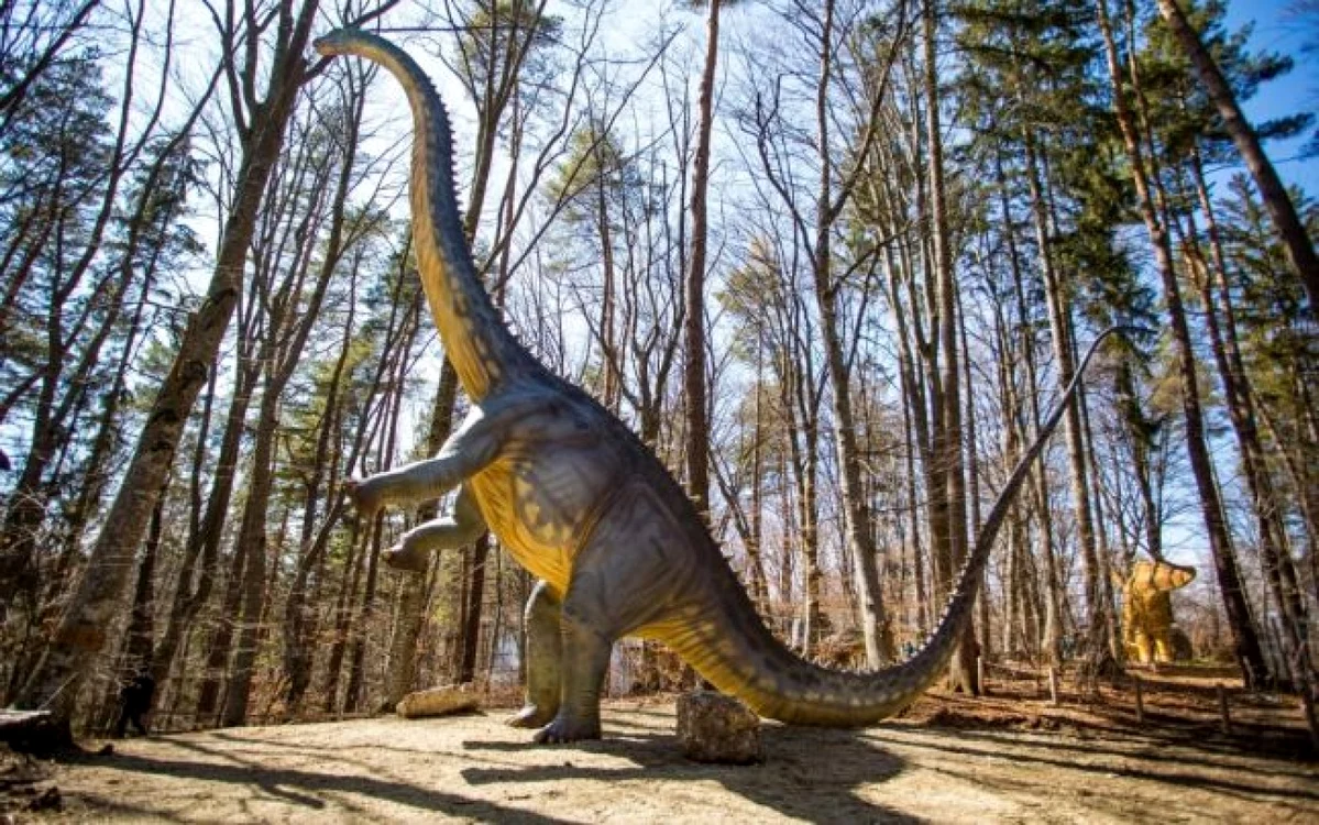 Vânătoare de ouă la Dino Parc FOTO Dino Parc