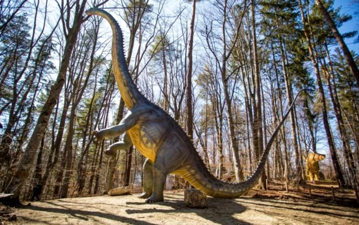 Vânătoare de ouă la Dino Parc FOTO Dino Parc