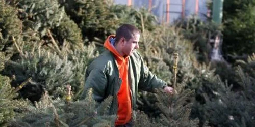 În centru brazii se vor vinde doar lângă troiţă