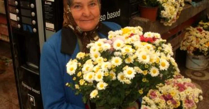 Râmnicu Vâlcea: PORTRET- Elena Sârbu şi-a dedicat viaţa îngrijirii florilor
