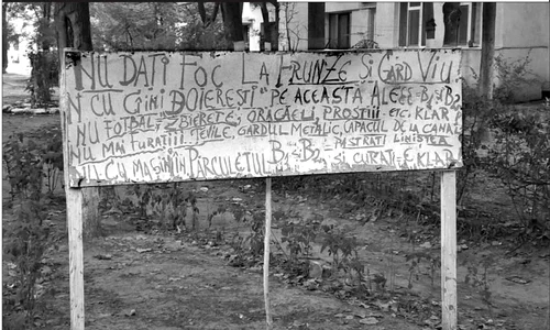 Cu ochii n 3,14 jpeg