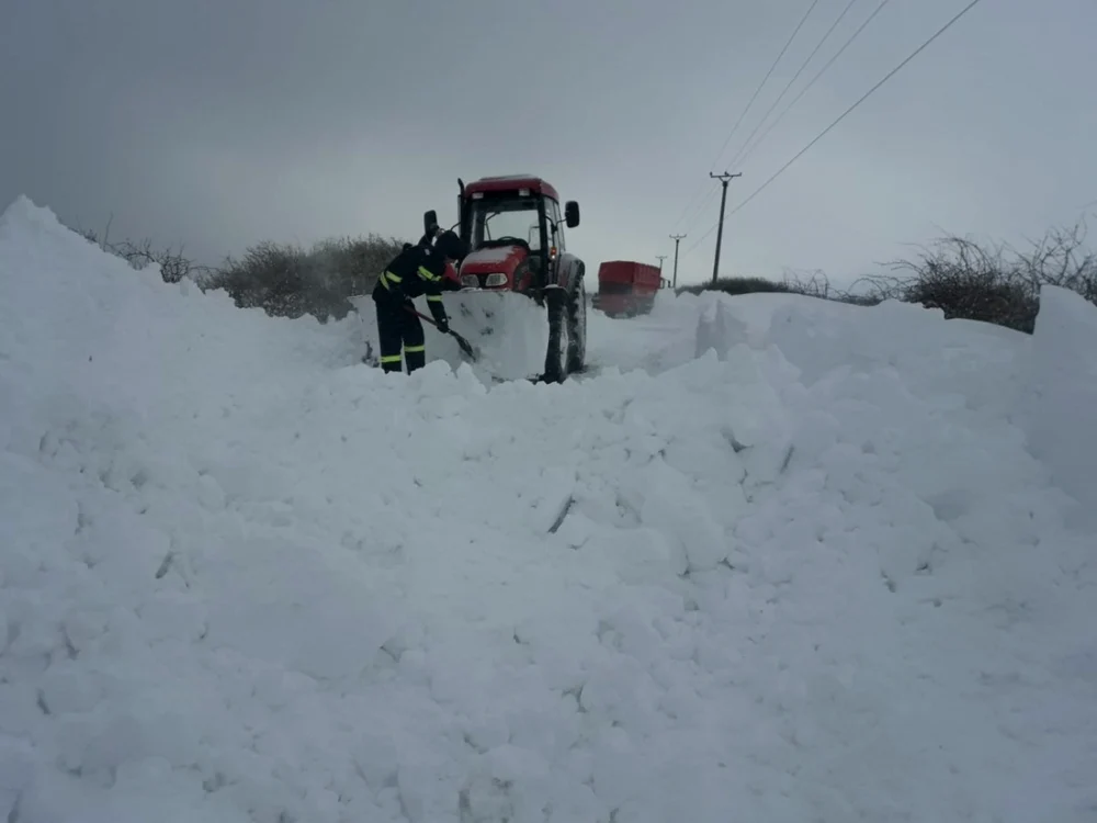 nămeţi în martie